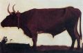 Ox