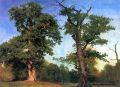 The pioneers of forests