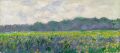 Field of Yellow Irises