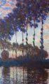 Poplars, sunset