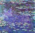 Water Lily Pond #3