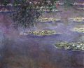 Water lilies, water landscape #1