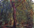 Weeping willow