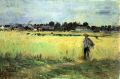 In wheat field