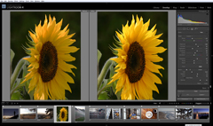 Adobe Photoshop Lightroom is a batch editor that couples well with Adobe Photoshop