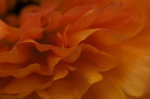 slideshow