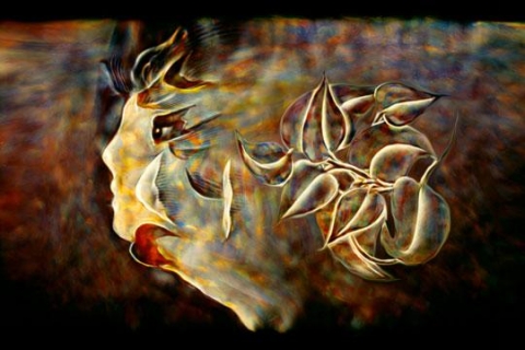 slideshow