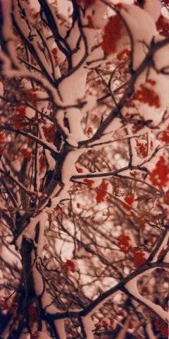 slideshow