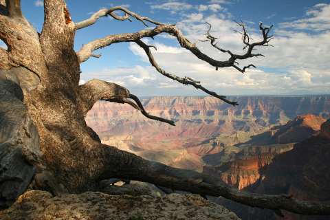slideshow