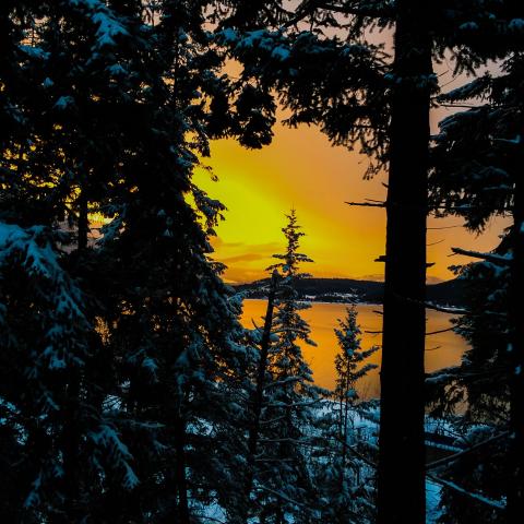 slideshow