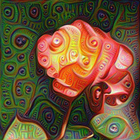 botanical_dimensions Deep Dream Effect botanical_dimensions Deep Dream Effect