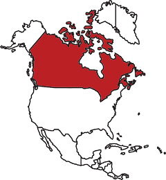 The location of Canada, north of the United States, in North America
