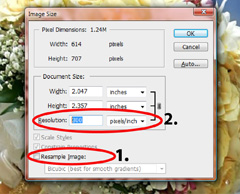 Before changing the resolution, you must uncheck the Resample Image box