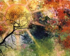 naturework, Pixabay stock image Digitally manipulated photograph.