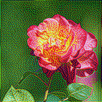 Digital Prism Deep Dream Effect Digital Prism Deep Dream Effect