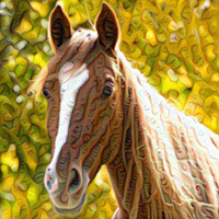 Salvia Deep Dream Effect Salvia Deep Dream Effect
