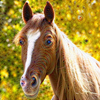 self_transforming Deep Dream Effect self_transforming Deep Dream Effect