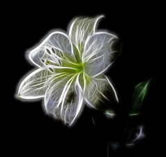 werner22brigitte, Pixabay stock image A digital artwork of a representational object.