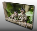 Photos of baby animals can make great nursery artwork Photos of baby animals can make great nursery artwork