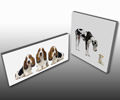 Pet Canvas prints Pet Canvas prints