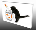 Pet Canvas prints Pet Canvas prints