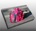 A pretty image of the engagement or wedding rings can be a keepsake for the years to come A pretty image of the engagement or wedding rings can be a keepsake for the years to come