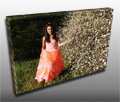 A professional photo of the graduate in their special outfit makes a great canvas print A professional photo of the graduate in their special outfit makes a great canvas print