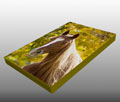 Pet Canvas prints Pet Canvas prints