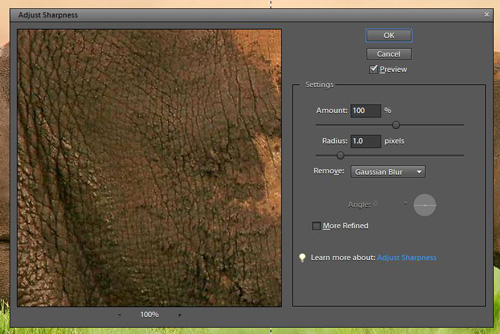 Amount, radius, and threshold on Adobe Photoshop Element