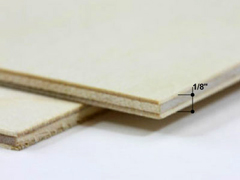 Birch surface closeup, 1/8